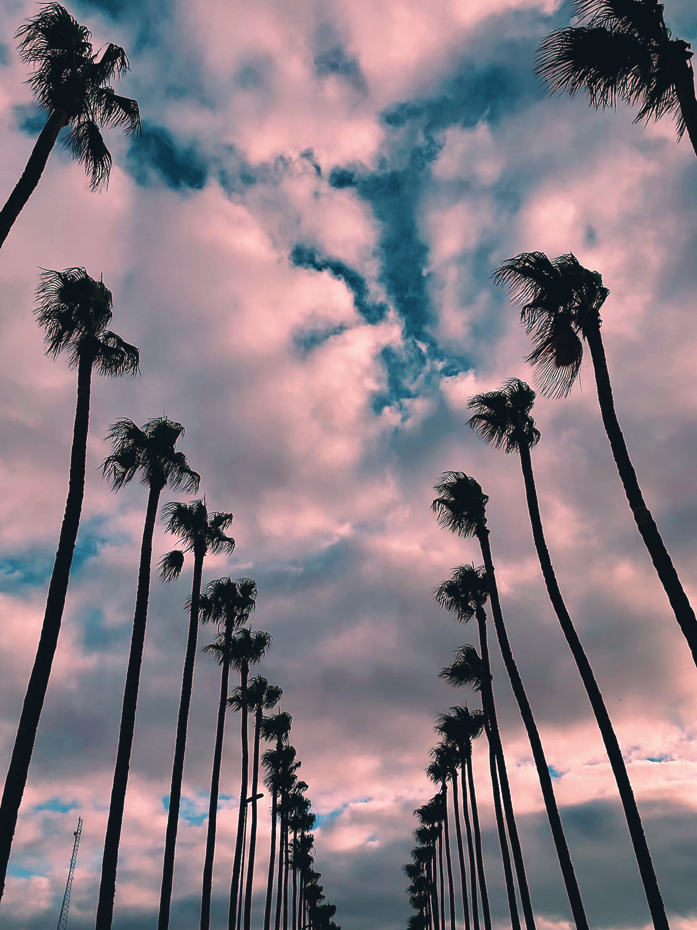 Real AI Color Match result: cloudy palms with the Deep Violet look.