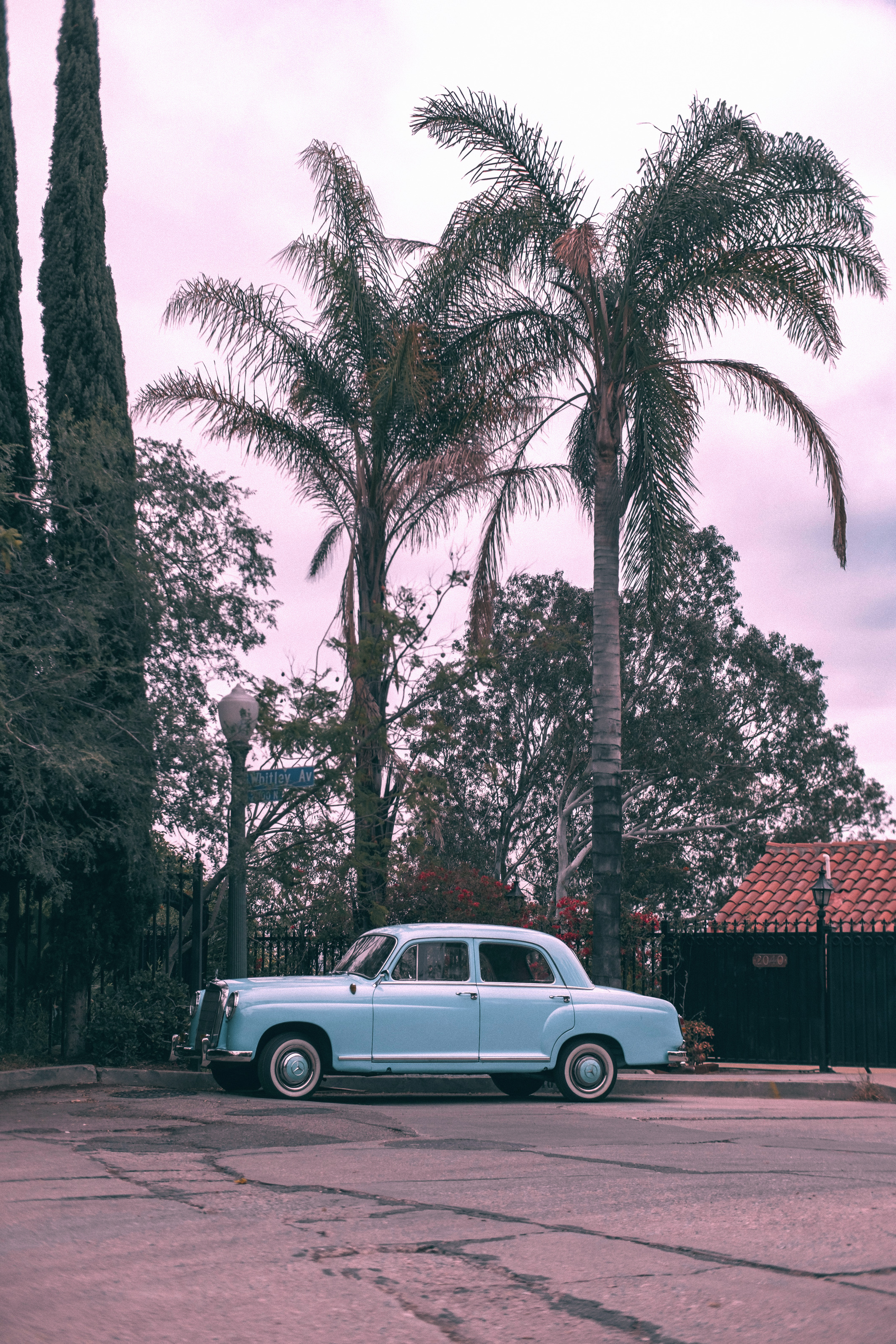 Real Deep Violet result on a blue car beside palms.