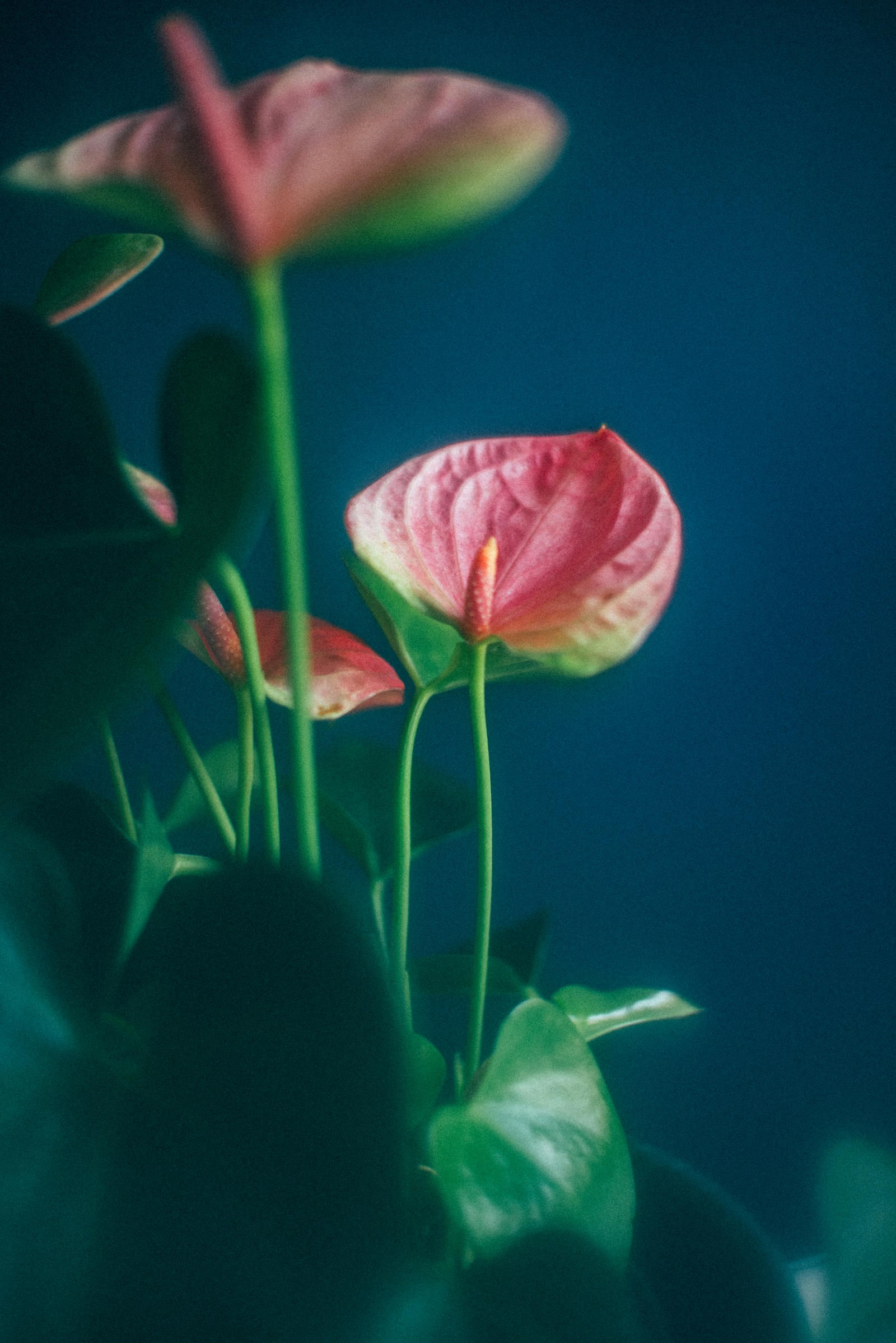Small things